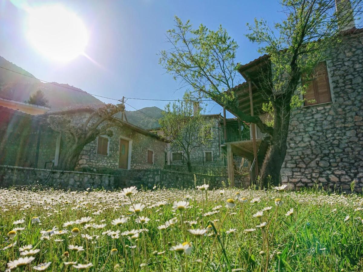 1935 Home Λιλαία Εξωτερικό φωτογραφία